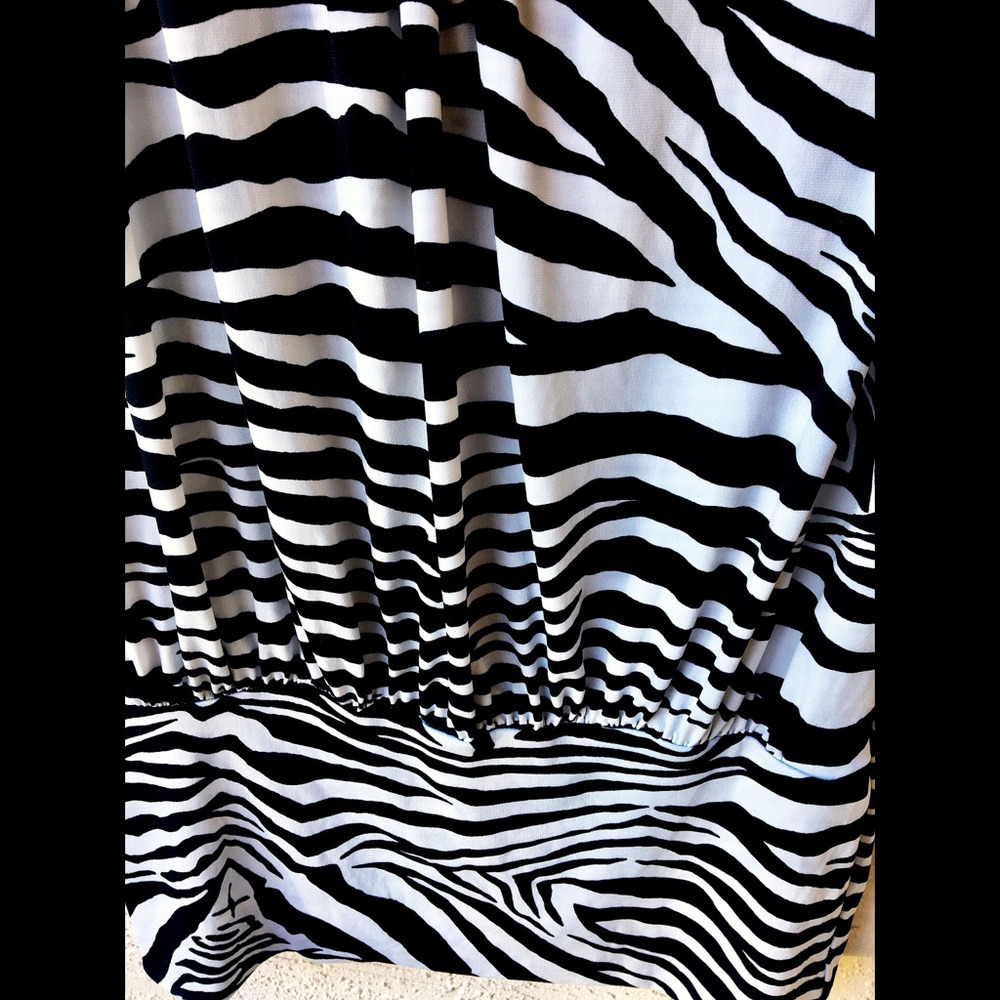Express Dress - Picture 5 of 8